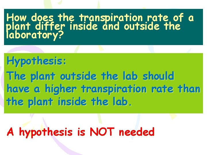 How does the transpiration rate of a plant differ inside and outside the laboratory?