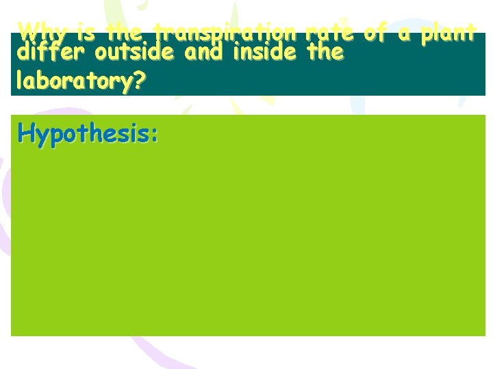 Why is the transpiration rate of a plant differ outside and inside the laboratory?