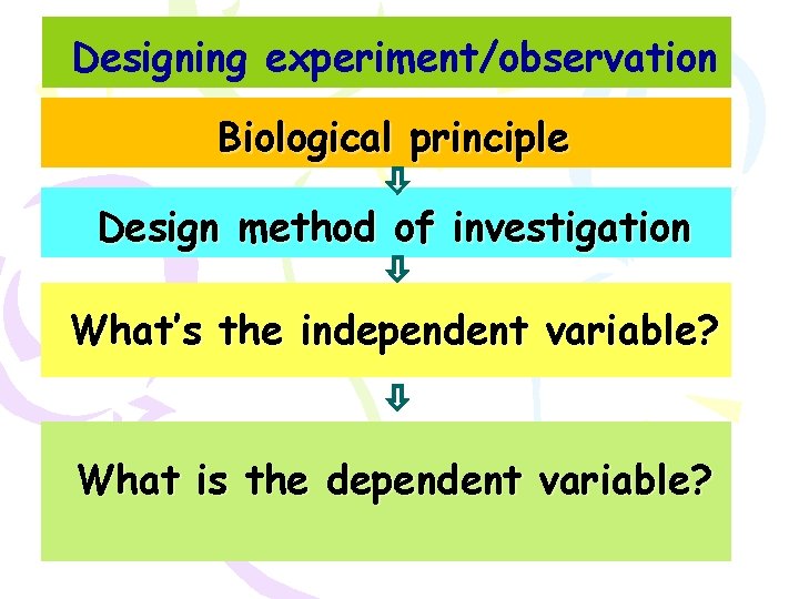 Designing experiment/observation Biological principle Design method of investigation What’s the independent variable? What is