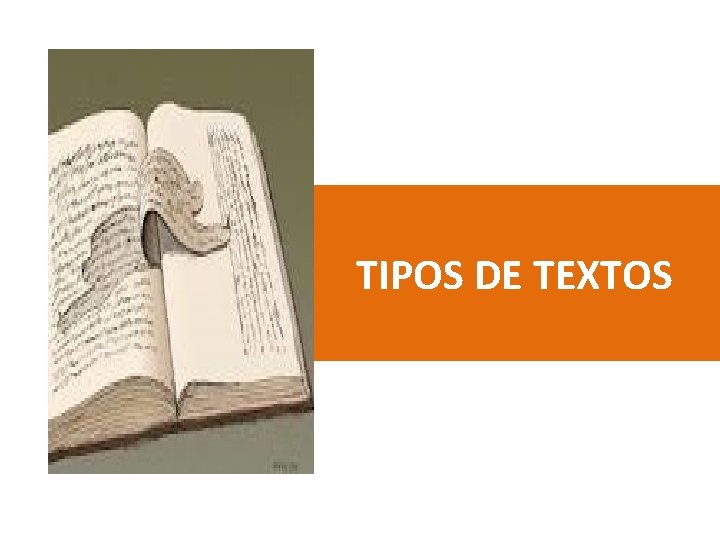 TIPOS DE TEXTOS 