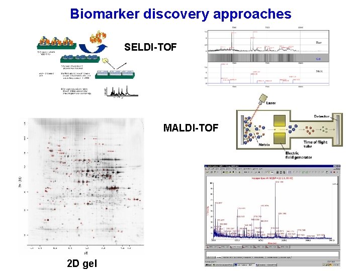 Biomarker discovery approaches SELDI-TOF MALDI-TOF 2 D gel 