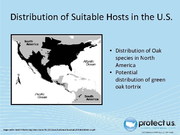 Distribution of Suitable Hosts in the U. S. • Distribution of Oak species in