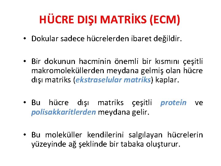 HÜCRE DIŞI MATRİKS (ECM) • Dokular sadece hücrelerden ibaret değildir. • Bir dokunun hacminin