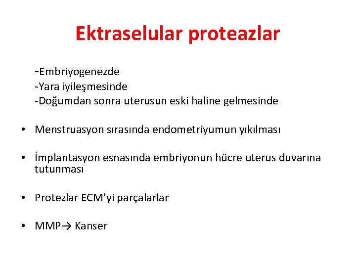 Ektraselular proteazlar -Embriyogenezde -Yara iyileşmesinde -Doğumdan sonra uterusun eski haline gelmesinde • Menstruasyon sırasında