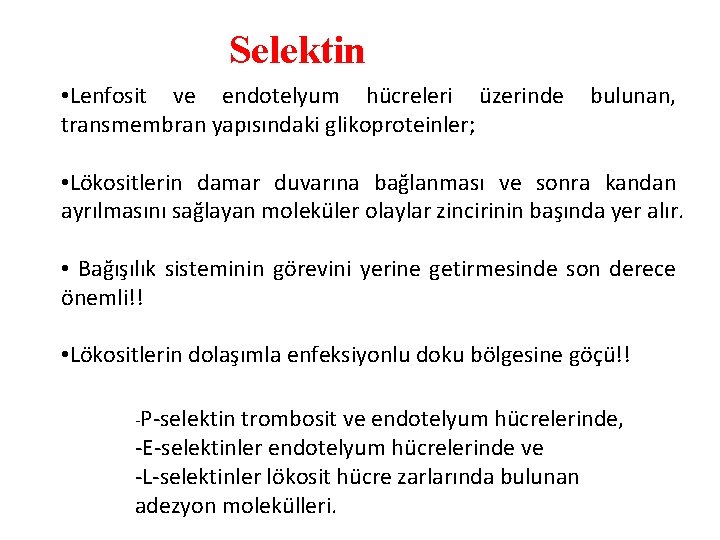 Selektin • Lenfosit ve endotelyum hücreleri üzerinde bulunan, transmembran yapısındaki glikoproteinler; • Lökositlerin damar