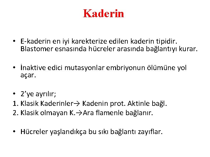 Kaderin • E-kaderin en iyi karekterize edilen kaderin tipidir. Blastomer esnasında hücreler arasında bağlantıyı