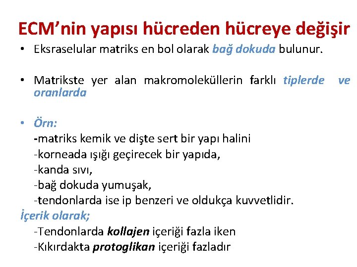 ECM’nin yapısı hücreden hücreye değişir • Eksraselular matriks en bol olarak bağ dokuda bulunur. ECM’nin yapısı hücreden hücreye değişir • Eksraselular matriks en bol olarak bağ dokuda bulunur.