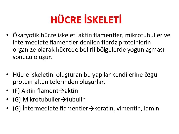 HÜCRE İSKELETİ • Ökaryotik hücre iskeleti aktin flamentler, mikrotubuller ve intermediate flamentler denilen fibröz HÜCRE İSKELETİ • Ökaryotik hücre iskeleti aktin flamentler, mikrotubuller ve intermediate flamentler denilen fibröz