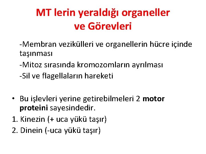 MT lerin yeraldığı organeller ve Görevleri -Membran vezikülleri ve organellerin hücre içinde taşınması -Mitoz