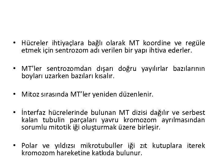  • Hücreler ihtiyaçlara bağlı olarak MT koordine ve regüle etmek için sentrozom adı