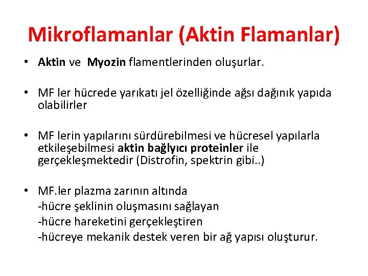 Mikroflamanlar (Aktin Flamanlar) • Aktin ve Myozin flamentlerinden oluşurlar. • MF ler hücrede yarıkatı