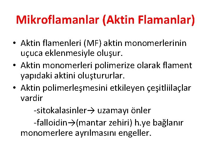 Mikroflamanlar (Aktin Flamanlar) • Aktin flamenleri (MF) aktin monomerlerinin uçuca eklenmesiyle oluşur. • Aktin