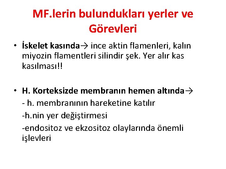 MF. lerin bulundukları yerler ve Görevleri • İskelet kasında→ ince aktin flamenleri, kalın miyozin