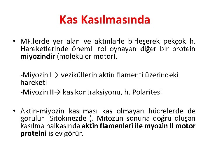 Kas Kasılmasında • MF. lerde yer alan ve aktinlarle birleşerek pekçok h. Hareketlerinde önemli Kas Kasılmasında • MF. lerde yer alan ve aktinlarle birleşerek pekçok h. Hareketlerinde önemli