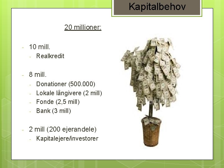 Kapitalbehov 20 millioner: - 10 mill. - - 8 mill. - - Realkredit Donationer