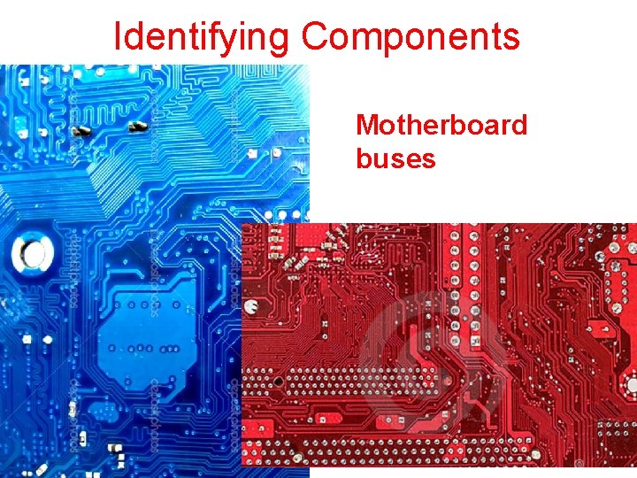 Identifying Components Motherboard buses 