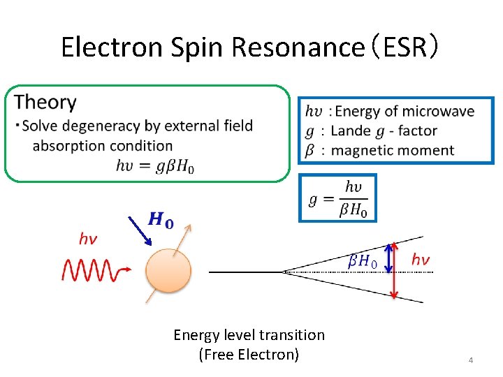 Electron Spin Resonance（ESR） Energy level transition (Free Electron) 4 