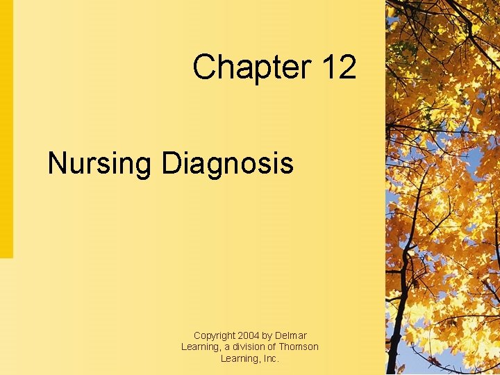 Chapter 12 Nursing Diagnosis Copyright 2004 by Delmar Learning, a division of Thomson Learning,