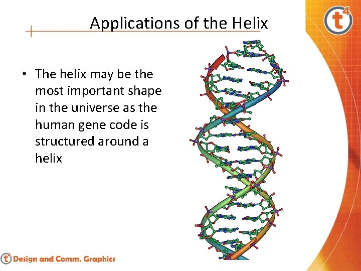 Applications of the Helix • The helix may be the most important shape in