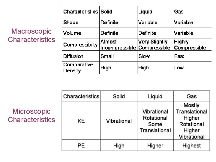 Macroscopic Characteristics Microscopic Characteristics 