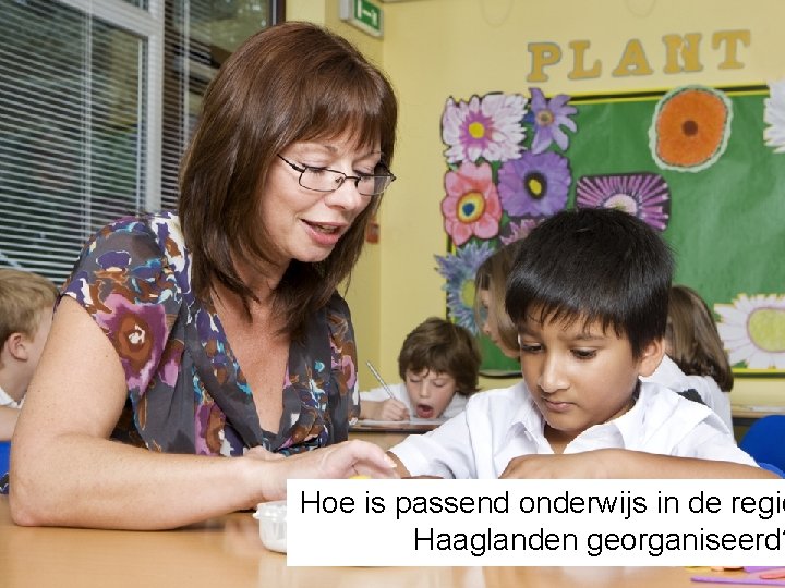 Hoe is passend onderwijs in de regio Haaglanden georganiseerd? 