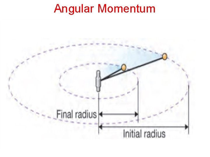 Angular Momentum 