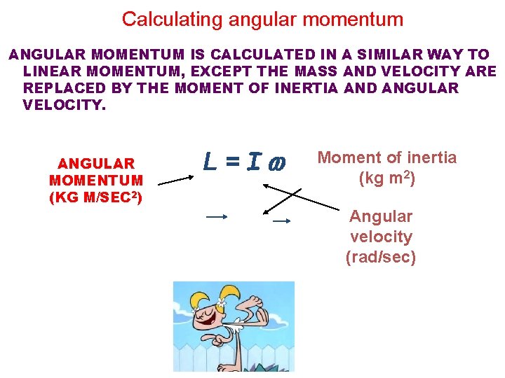 Calculating angular momentum ANGULAR MOMENTUM IS CALCULATED IN A SIMILAR WAY TO LINEAR MOMENTUM,