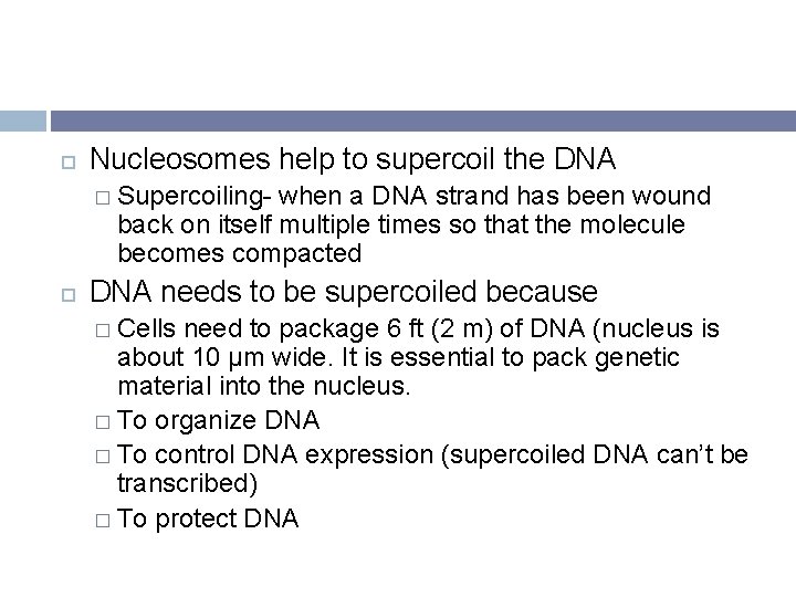  Nucleosomes help to supercoil the DNA � Supercoiling- when a DNA strand has