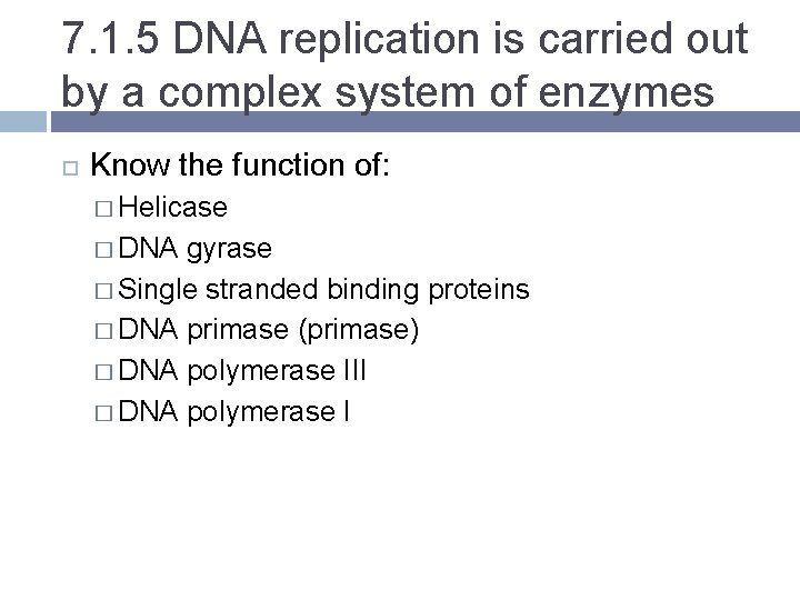 7. 1. 5 DNA replication is carried out by a complex system of enzymes