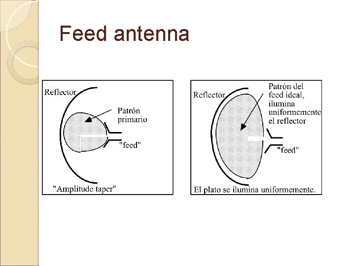 Feed antenna 