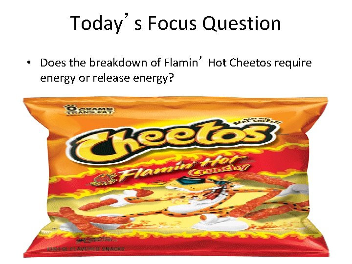 Today’s Focus Question • Does the breakdown of Flamin’ Hot Cheetos require energy or Today’s Focus Question • Does the breakdown of Flamin’ Hot Cheetos require energy or