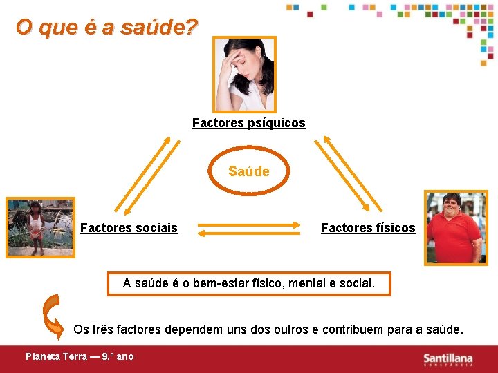 O que é a saúde? Factores psíquicos Saúde Factores sociais Factores físicos A saúde