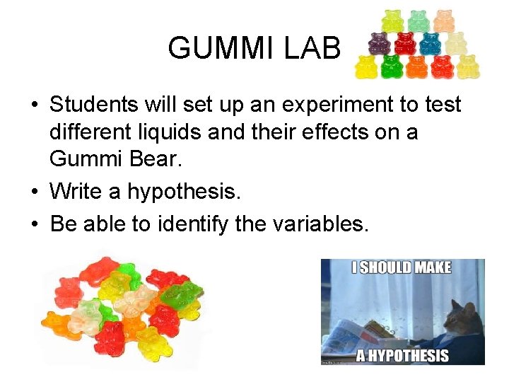 GUMMI LAB • Students will set up an experiment to test different liquids and