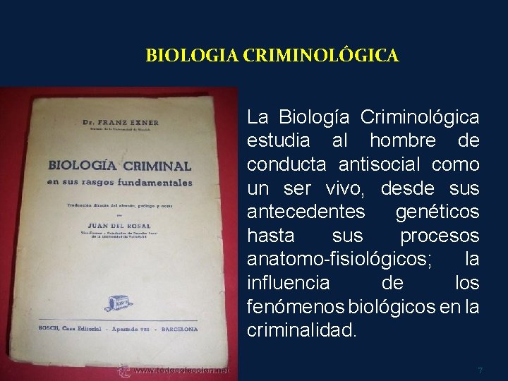 BIOLOGIA CRIMINOLÓGICA La Biología Criminológica estudia al hombre de conducta antisocial como un ser
