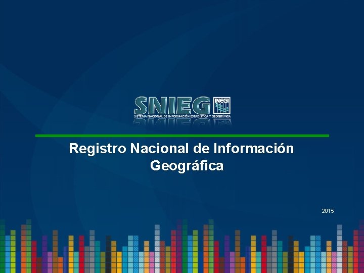Registro Nacional de Información Geográfica 2015 