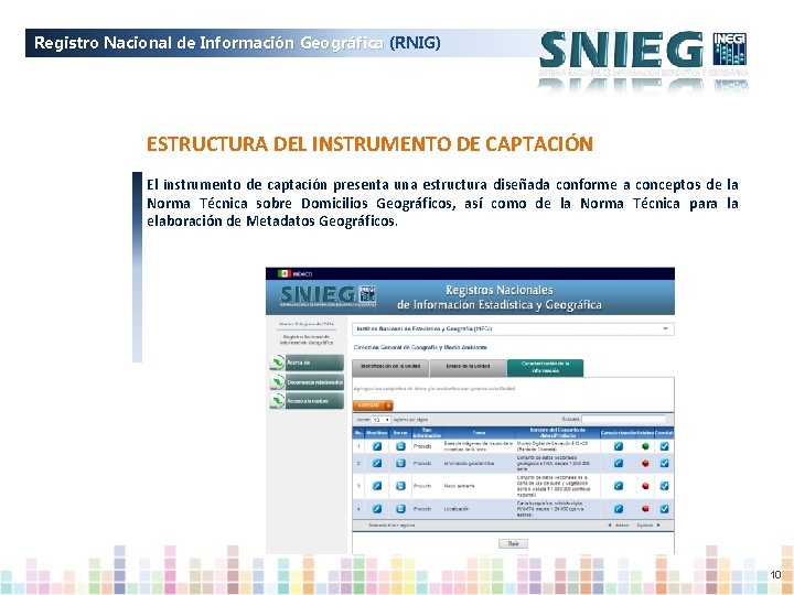Registro Nacional de Información Geográfica (RNIG) ESTRUCTURA DEL INSTRUMENTO DE CAPTACIÓN El instrumento de
