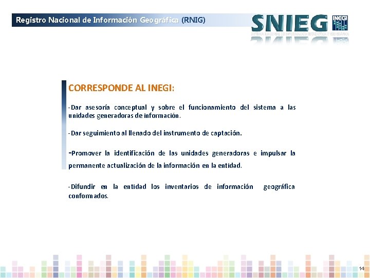 Registro Nacional de Información Geográfica (RNIG) CORRESPONDE AL INEGI: -Dar asesoría conceptual y sobre