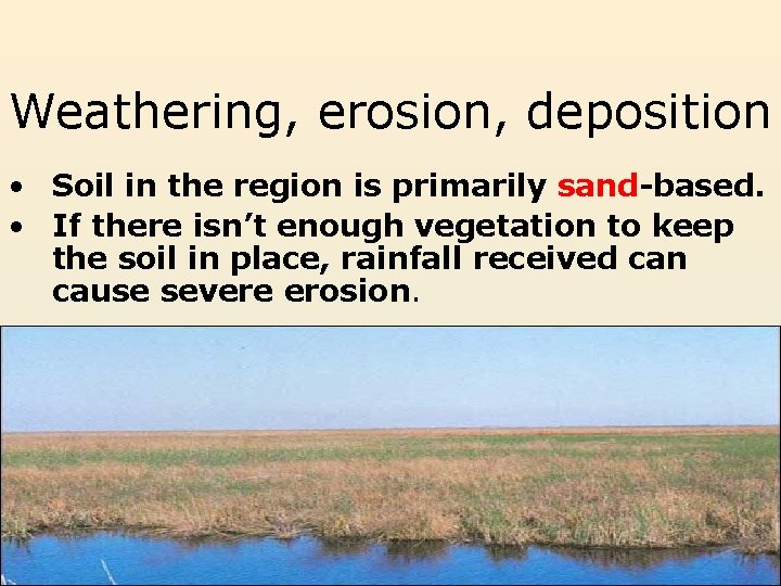 Weathering, erosion, deposition • Soil in the region is primarily sand-based. • If there