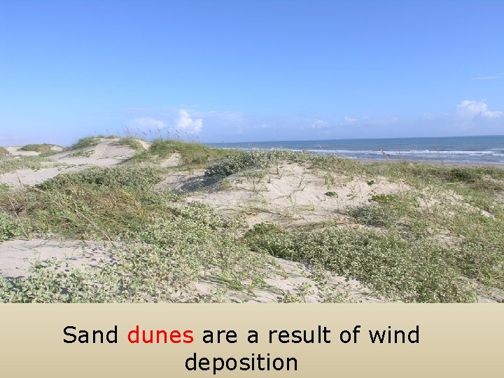 Sand dunes are a result of wind deposition 