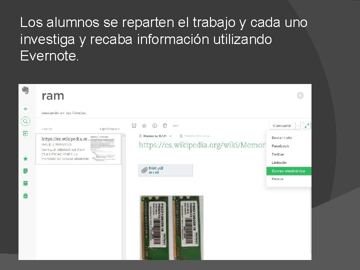 Los alumnos se reparten el trabajo y cada uno investiga y recaba información utilizando
