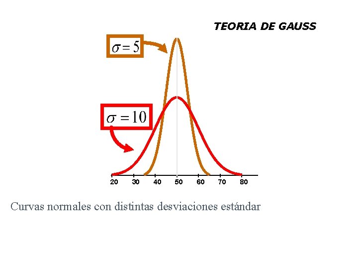 TEORIA DE GAUSS 20 30 40 50 60 70 80 Curvas normales con distintas