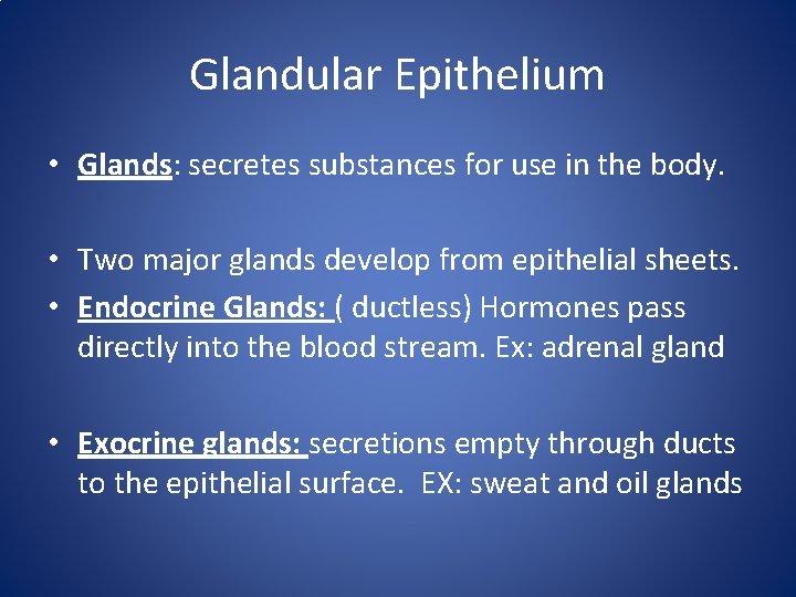 Glandular Epithelium • Glands: secretes substances for use in the body. • Two major Glandular Epithelium • Glands: secretes substances for use in the body. • Two major