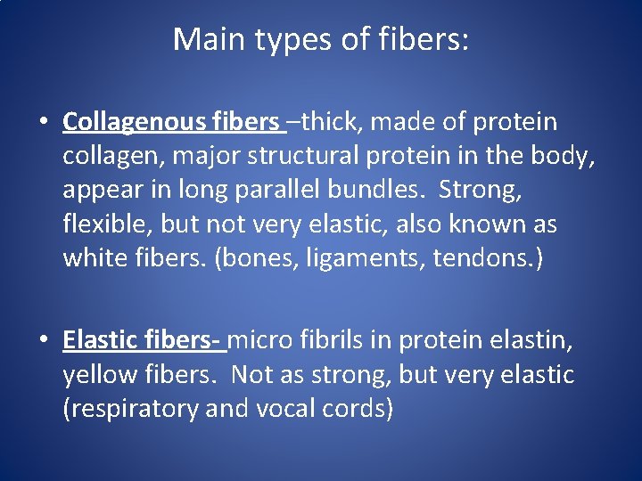Main types of fibers: • Collagenous fibers –thick, made of protein collagen, major structural Main types of fibers: • Collagenous fibers –thick, made of protein collagen, major structural