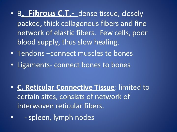 • B. Fibrous C. T. - dense tissue, closely packed, thick collagenous fibers • B. Fibrous C. T. - dense tissue, closely packed, thick collagenous fibers