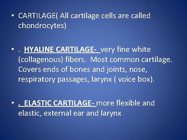 • CARTILAGE( All cartilage cells are called chondrocytes) • . HYALINE CARTILAGE- very • CARTILAGE( All cartilage cells are called chondrocytes) • . HYALINE CARTILAGE- very