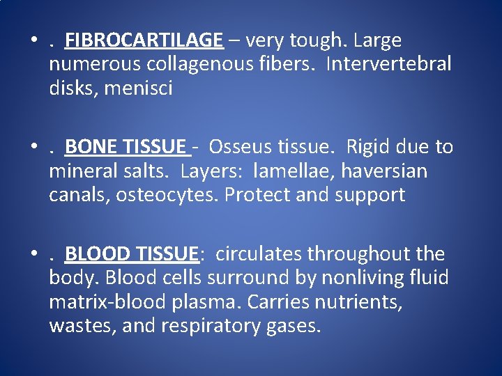 • . FIBROCARTILAGE – very tough. Large numerous collagenous fibers. Intervertebral disks, menisci • . FIBROCARTILAGE – very tough. Large numerous collagenous fibers. Intervertebral disks, menisci