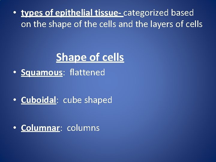 • types of epithelial tissue- categorized based on the shape of the cells • types of epithelial tissue- categorized based on the shape of the cells