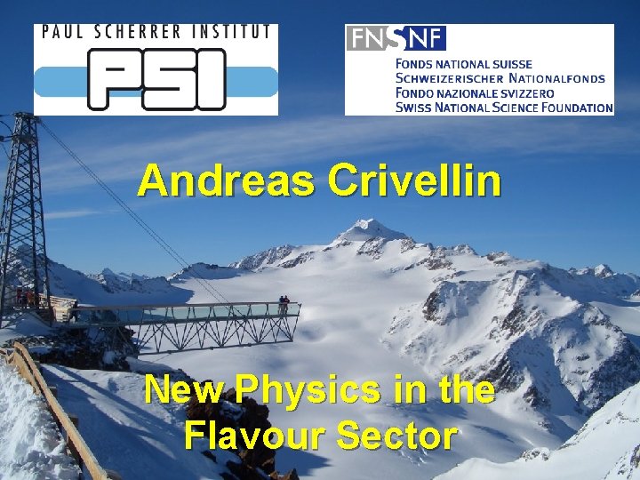 Andreas Crivellin New Physics in the Flavour Sector 