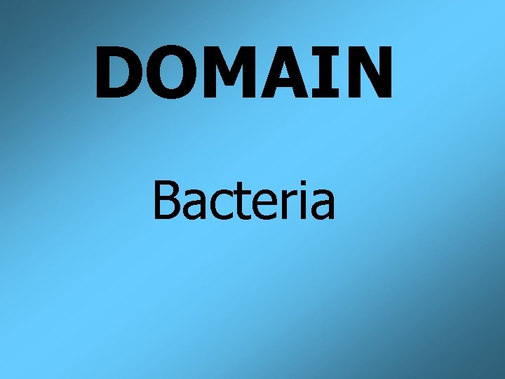 DOMAIN Bacteria 