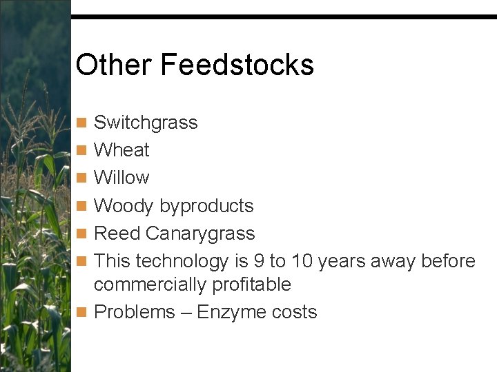 Other Feedstocks n Switchgrass n Wheat n Willow n Woody byproducts n Reed Canarygrass